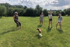 croquet_00907