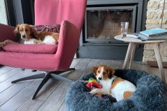 souvenirs_herfst_2021_014