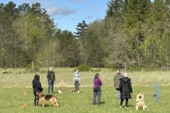 amis_meivakantie_2025006