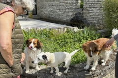 amis_meivakantie_2025072