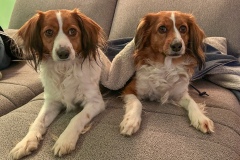 Amis_25-2620260101_0016