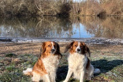 Amis_25-2620260101_0018