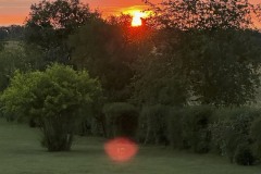 amis_zomer_2025_003