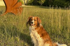 amis_zomer_2025_008