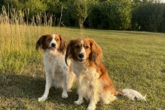 amis_zomer_2025_032