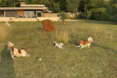 amis_zomer_2025_037