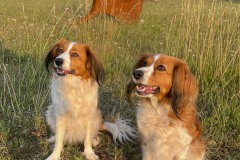 amis_zomer_2025_038