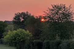 amis_zomer_2025_042