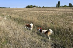 amis_zomer_2025_087