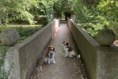 amis_zomer_2025_107