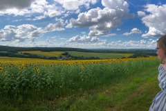 Zonnebloem2_009